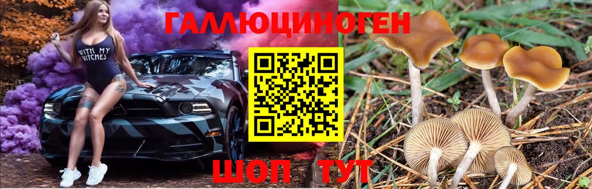 Лесозаводск  Псилоцибиновые грибы GOLDEN TEACHER  Вход с VPN 